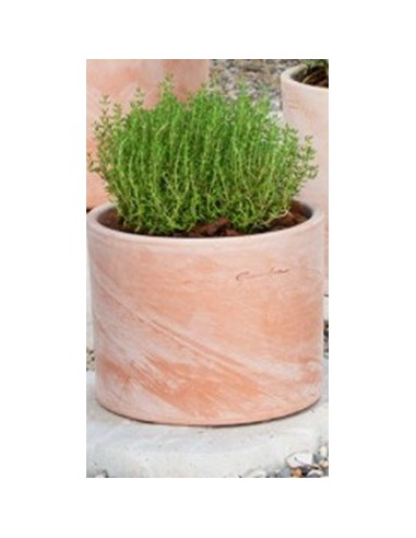 Maceta Cilindro 17x13 cm  Elegante y Minimalista para Plantas | Endanea Garden

