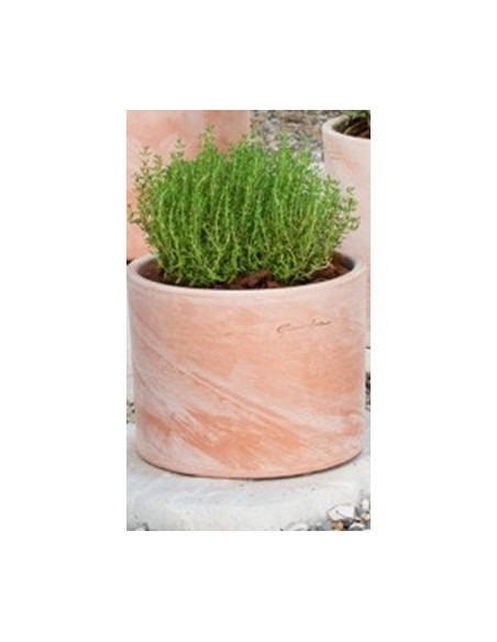Maceta Cilindro 17x13 cm  Elegante y Minimalista para Plantas | Endanea Garden

