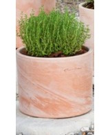Maceta Cilindro 17x13 cm  Elegante y Minimalista para Plantas | Endanea Garden

