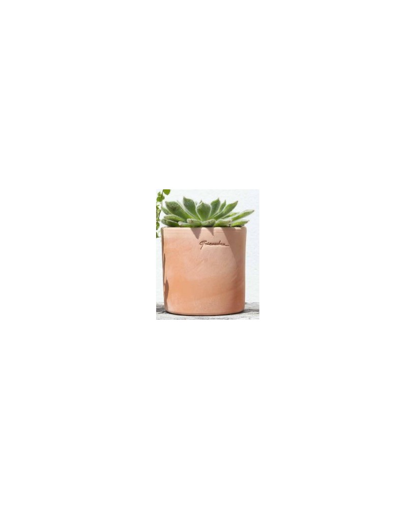 Maceta Pequeña Cilindro 7x7 cm | Diseño Moderno para Plantas Pequeñas

