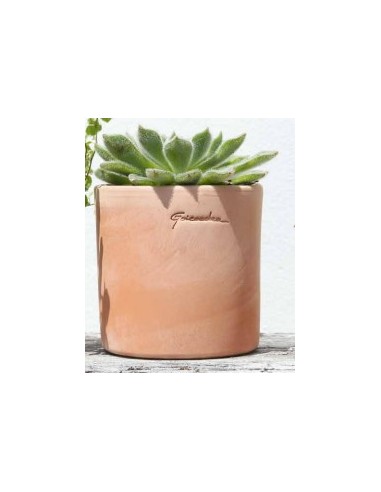 Maceta Pequeña Cilindro 10x10 cm  Compacta y Elegante para Interior y Exterior | Endanea Garden

