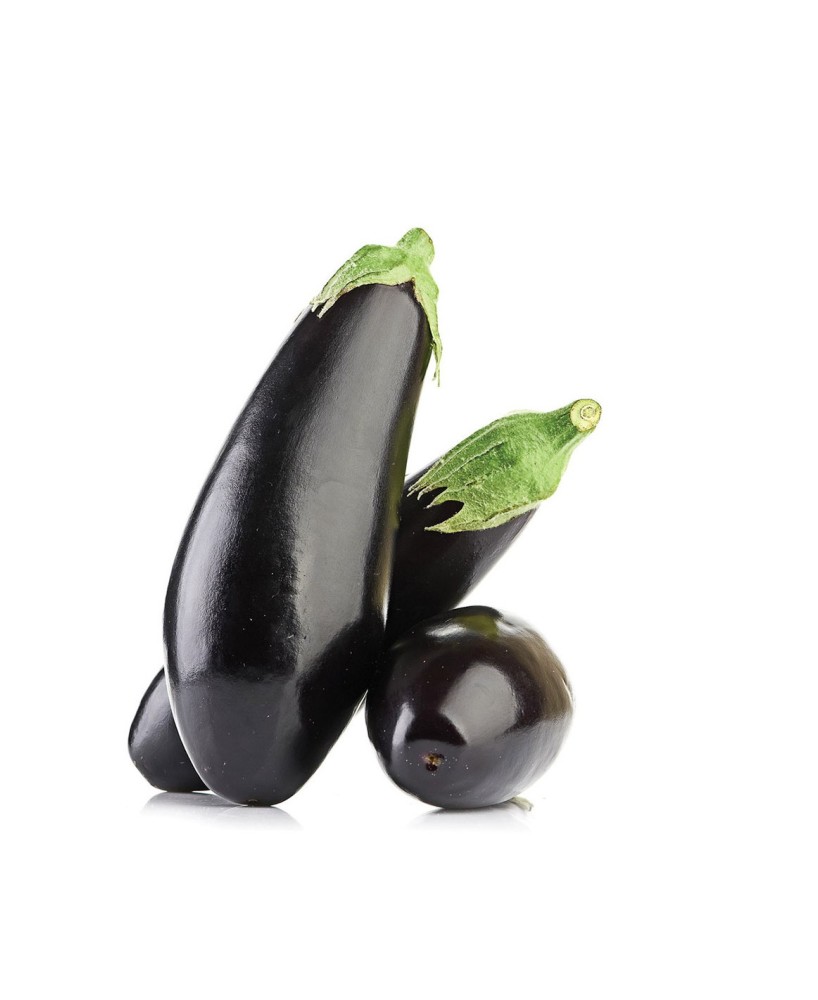 BERENJENA NEGRA LARGA PACK 1