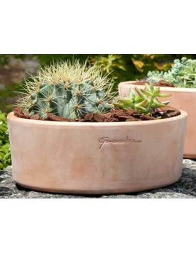 Copa Base 28x10 cm  Accesorio Decorativo Elegante para Interior y Exterior

