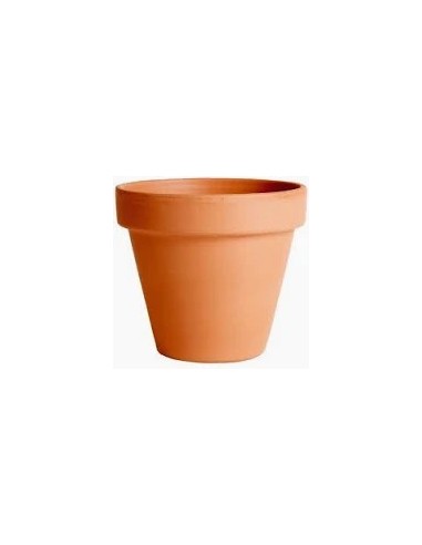 Maceta Terracota 15 cm - Diseño Rústico y Duradero para Jardín | Endanea Garden

