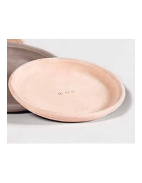 Plato 19 cm para Macetas  Protección y Estilo para tus Plantas | Endanea Garden

