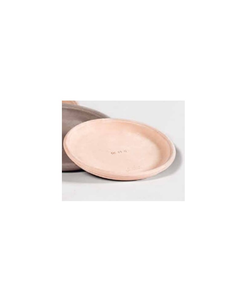 Plato 35 cm para Macetas  Protección y Estilo Duradero | Endanea Garden

