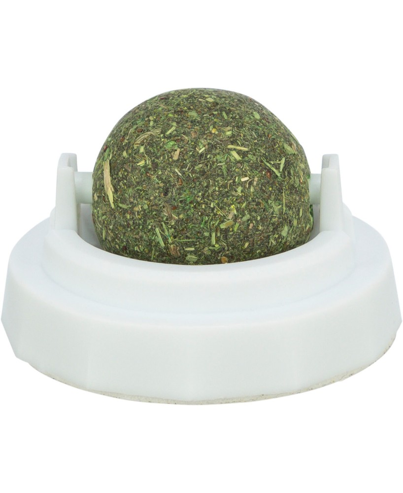 Pelota Catnip con Soporte Ø 5 cm  Juguete Estimulante para Gatos | Endanea Mascotas