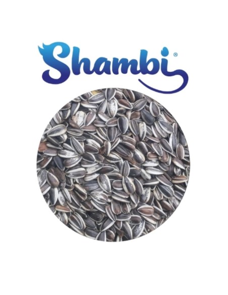 SHAMBI PIPA IREGUI 650GR.