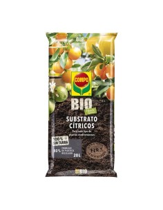 Genera el title, meta keywords (max 199 caracteres) y meta description