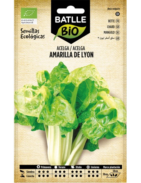 SEMILLA ACELGA AMARILLA LYONSEL LINDA