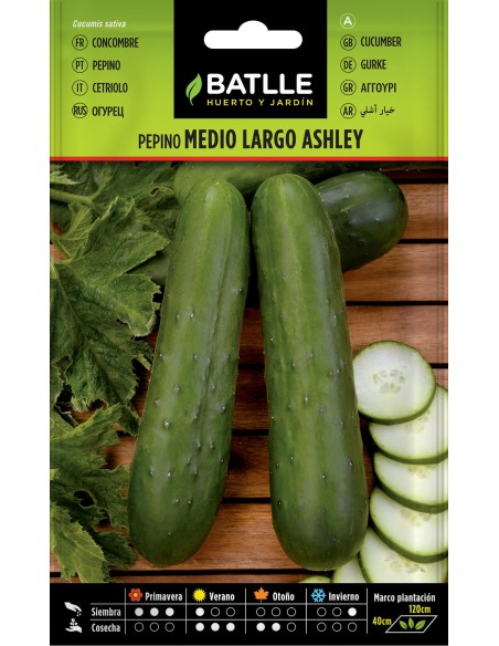 SEMILLA PEPINO ASHLEY MEDIO LARGO