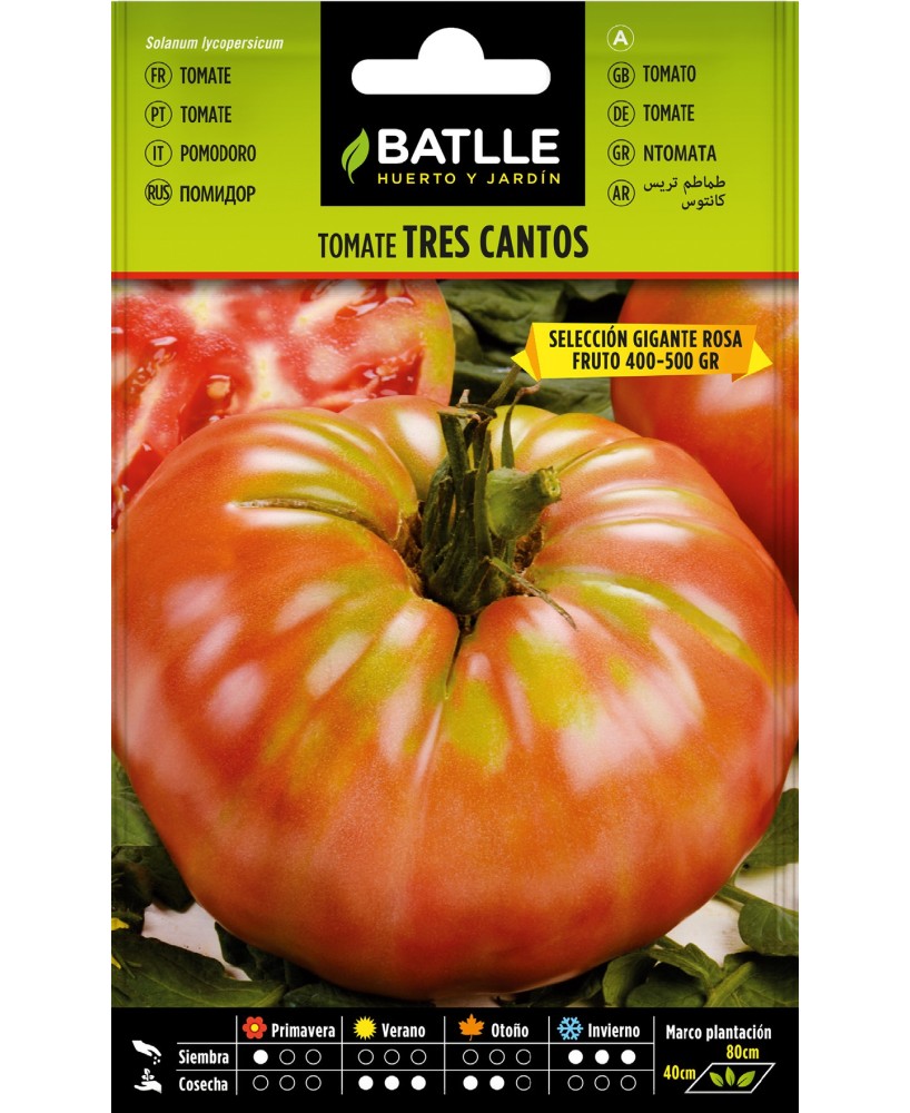 Semillas de Tomate 3 Cantos Gigante Rosa | Cultivo Fácil y Natural