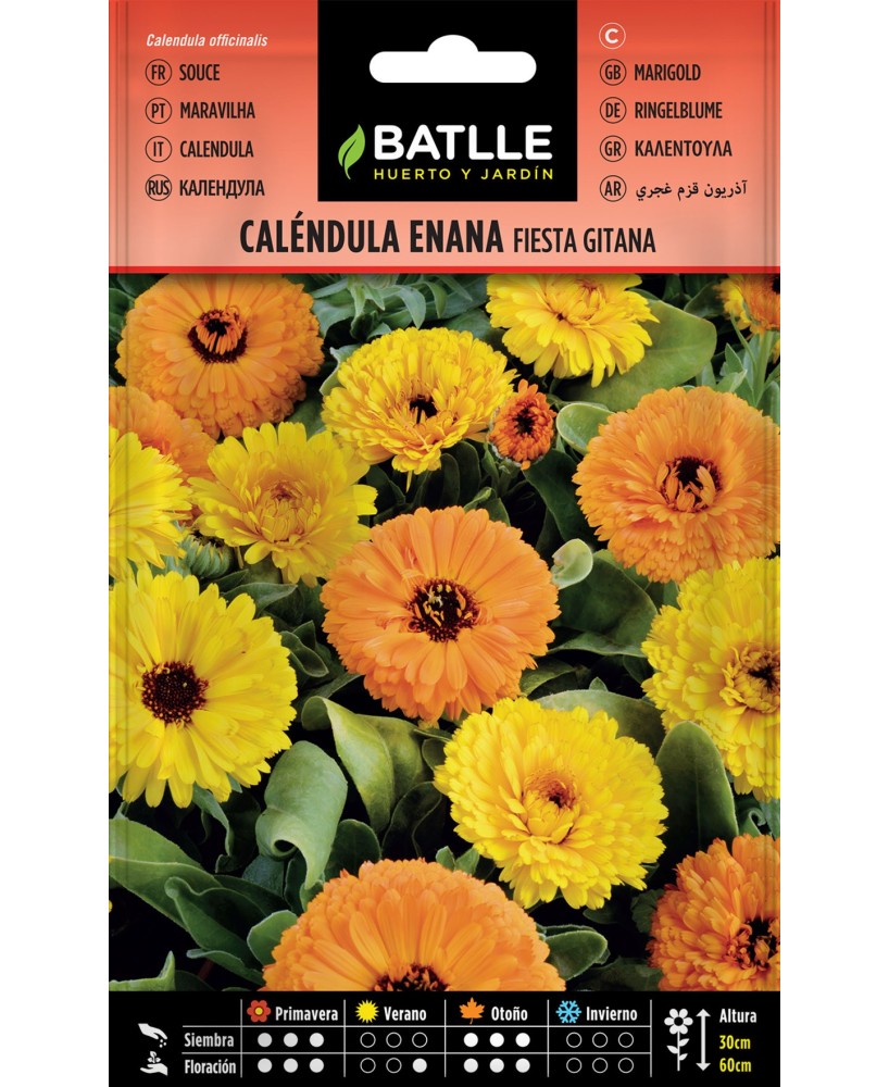 SEMILLA CALENDULA FIESTA GITANA BATLLE