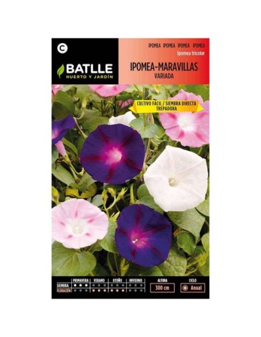 SEMILLA IPOMEA MARAVILLAS VARIADA BATLLE