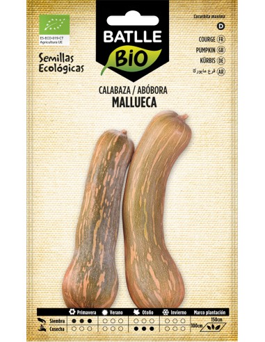 SEMILLA ECO CALABAZA VASCA