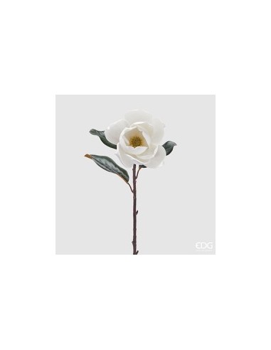 MAGNOLIA SUPREME BLANCO