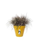 Maceta Loft Urban Redonda 25cm Ocre | Elegante y Funcional