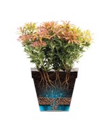 Maceta Loft Urban Red 50cm Blanco  Diseño Moderno y Duradero | Endanea Garden