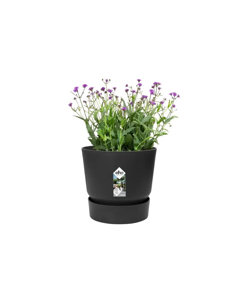 MACETA REDONDA GREENVILLE 16CM NEGRO