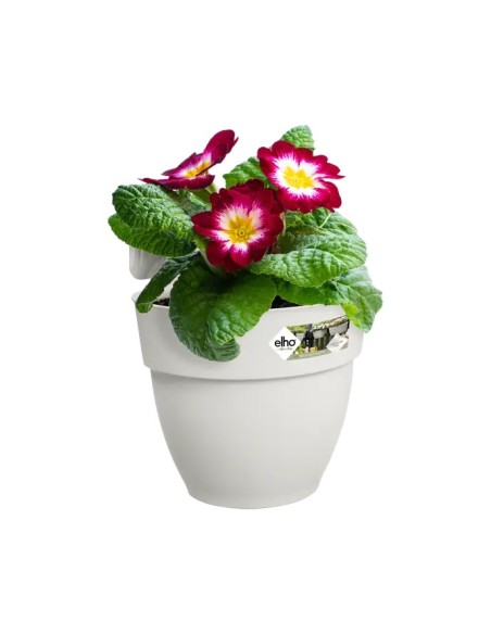 Maceta Vibia Campana Easy Hanger S Blanco Sedosa Colgante Comprar