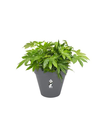 Maceta Loft Urban Redonda 50 cm Antracita | Ideal para Plantas Grandes | Endanea Garden