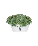 Maceta Loft Basket 40cm Blanco  Diseño moderno y funcional para plantas medianas y grandes