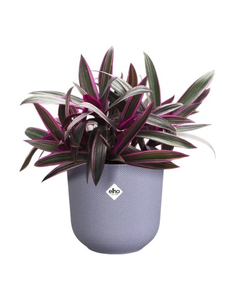 MACETA JAZZ REDONDA 19CM LILA