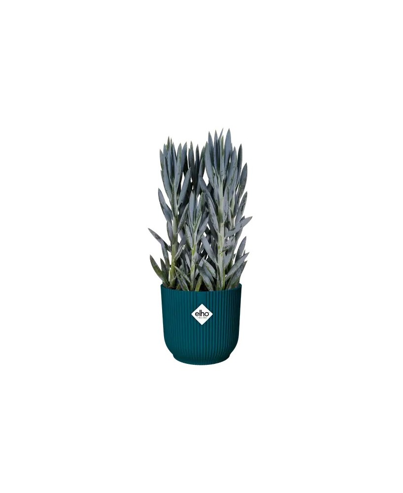 Maceta Vibes Fold Redonda 16cm Azul  Diseño Moderno y Plegable para Plantas

