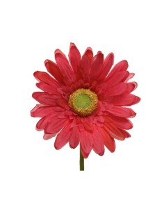 GERBERA ARTIFICIAL D10XH50CM