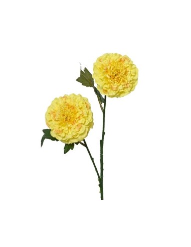 FLOR DE CALENDULA L17XW9XH66CM AMARILLA