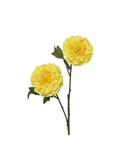 FLOR DE CALENDULA L17XW9XH66CM AMARILLA