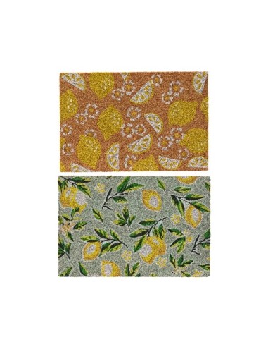 FELPUDO COCO L40XW60XH1.5CM