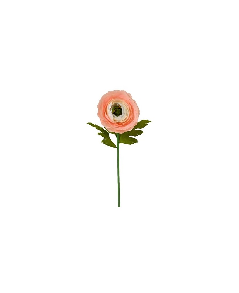 RANUNCULUS MELOCOTON L35XW35XH125CM