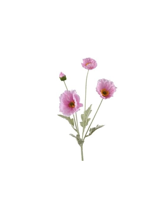 AMAPOLA ROSA CLARO L14XW7XH63CM