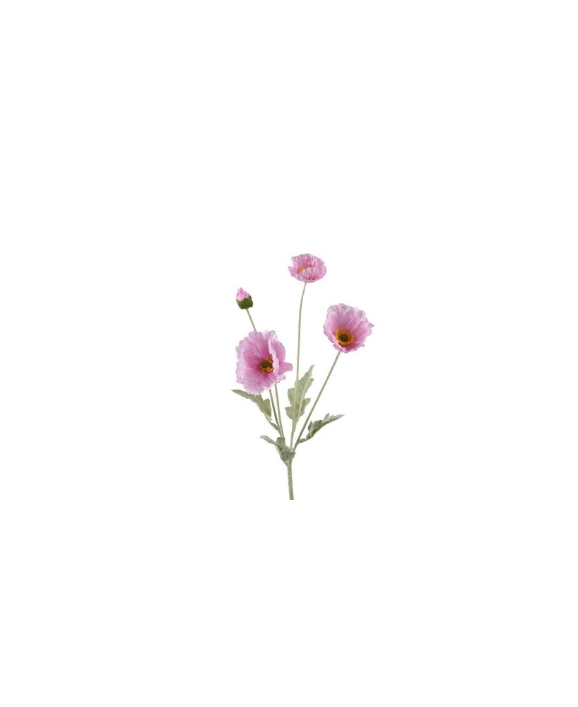 AMAPOLA ROSA CLARO L14XW7XH63CM