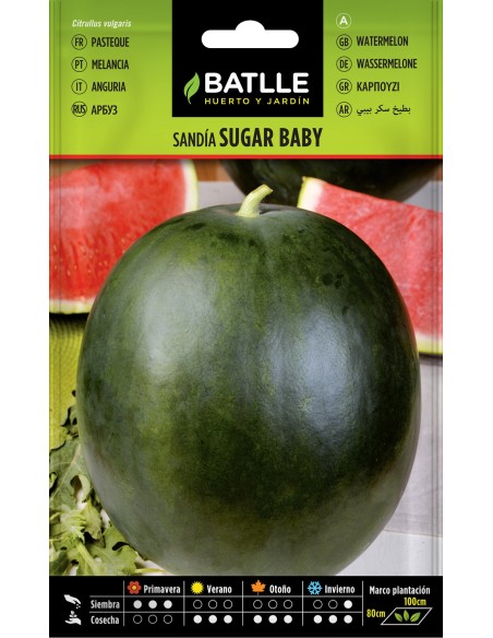 SEMILLA SANDIA SUGAR BABY