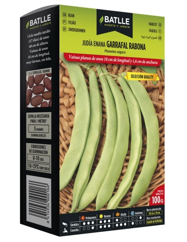 SEMILLA JUDIA ENANA GARRAFAL RABONA 250GR BATLLE