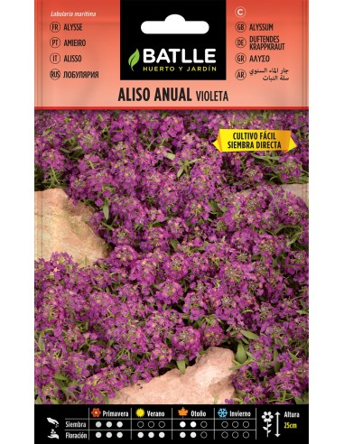 SEMILLA ALISO ANUAL VIOLETA BATLLE