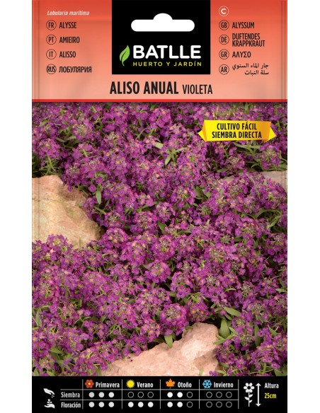 SEMILLA ALISO ANUAL VIOLETA BATLLE