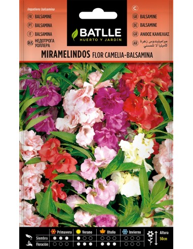 SEMILLA MIRAMELINDOS