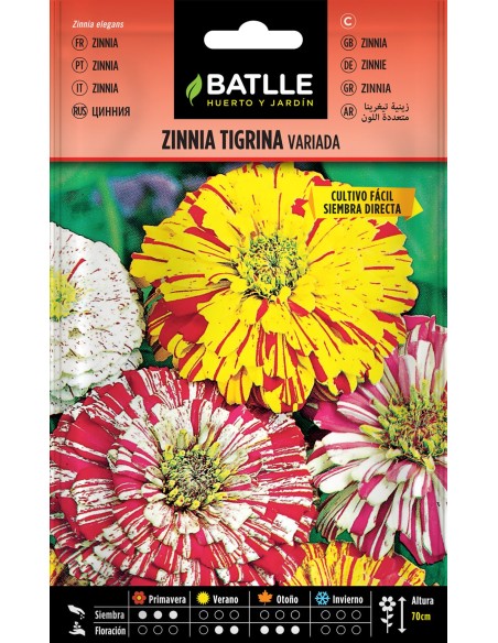 SEMILLA ZINNIA TIGRINA VARIADA BATTLE