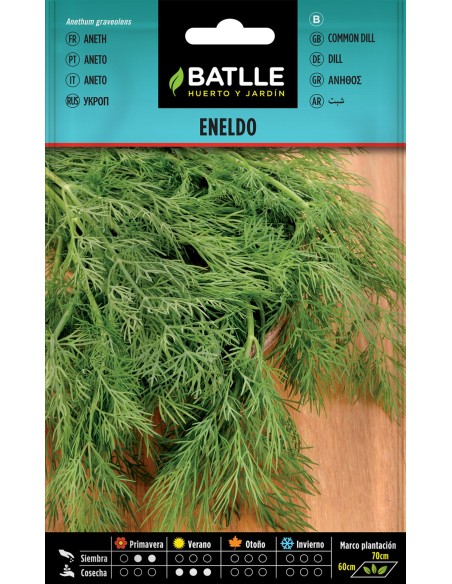SEMILLA ENELDO