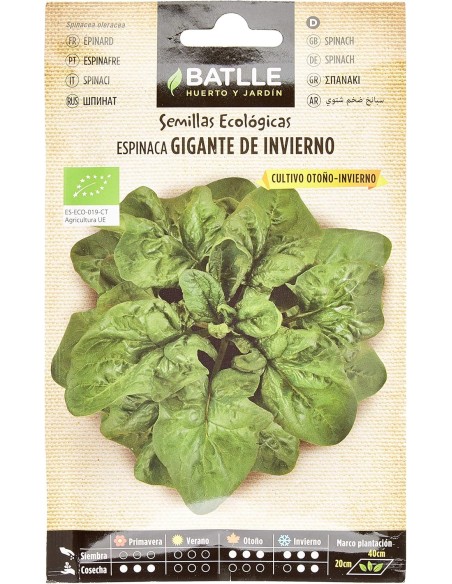 SEMILLA ECO ESPINACA GIGANTE INVIERNO