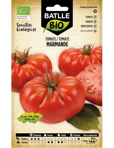SEMILLA ECO TOMATE MARMANDE RAF BATLLE