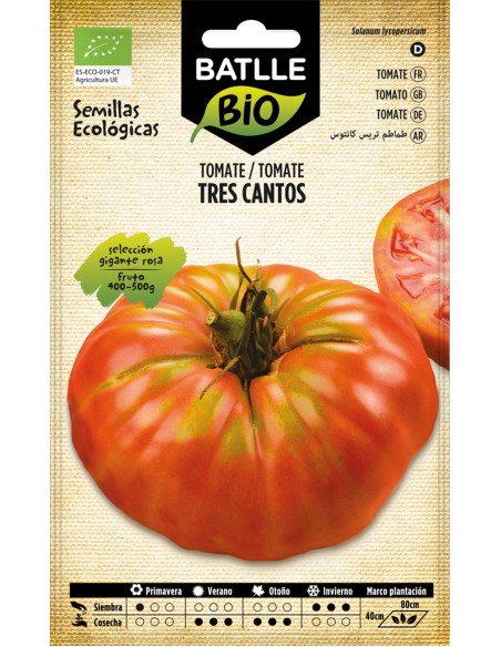 SEMILLA ECO TOMATE 3 CANTOS GIGANTE ROSA BATTLE