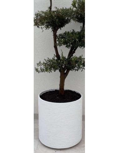 MACETA CILINDRO  OPEN 58CM BLANCO