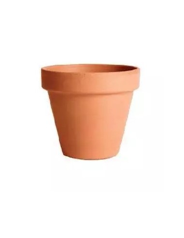 Maceta de Terracota 11CM  Diseño Clásico y Natural para Interior y Exterior | Endanea Garden

