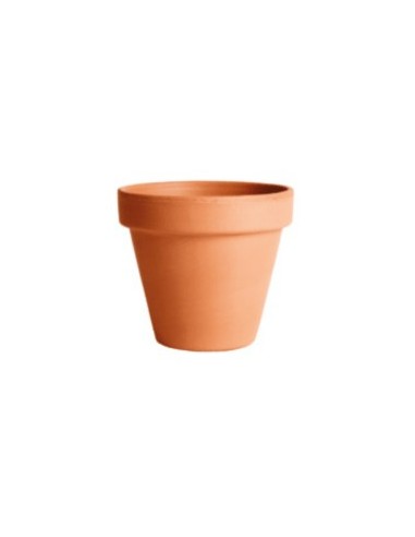 Maceta de Terracota 13CM  Natural y Duradera para Interior y Exterior | Endanea Garden


