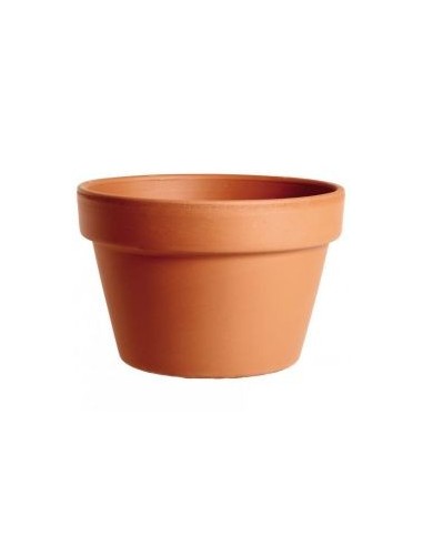 Minimaceta de Terracota 31CM  Clásica y Resistente para Plantas Grandes | Endanea Garden

