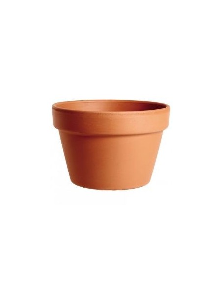 Minimaceta de Terracota 31CM  Clásica y Resistente para Plantas Grandes | Endanea Garden

